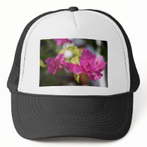 Bougainvillea Hats