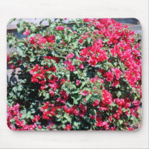 Bougainvillea mousepads by roimim Bougainvillea mousepads