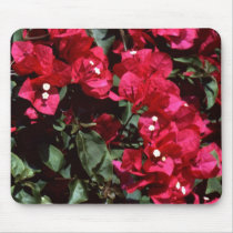 Bougainvillea mousepads by roimim Bougainvillea mousepads