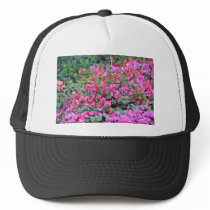 Bougainvillea, Paper Flower Pink flowers Hat