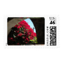 Bougainvillea postage by bainsgate Bougainvillea postage