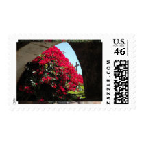 Bougainvillea postage