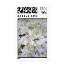 Bougainvillea postage