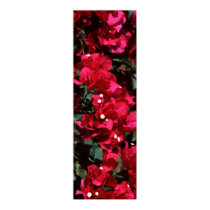 Bougainvillea posters by roimim Bougainvillea posters