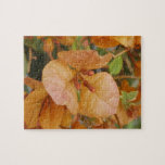 Bougainvillea Puzzle