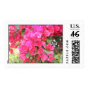 Bougainvillea Stamp by pattirm1 Bougainvillea Stamp