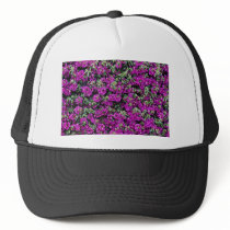 Bougainvillea wall flower  flowers mesh hat