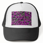 Bougainvillea wall flower  flowers mesh hat