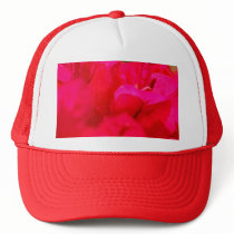 Bougainvilleas Hats