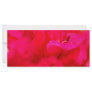 Bougainvilleas Custom Rack Cards