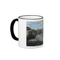 Boulders by The Bay Mug