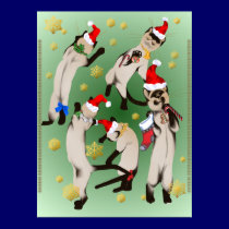 Bouncing Bunch Of Christmas Kittie Print by Lotacats Bouncing Bunch Of Christmas Kittie Print
