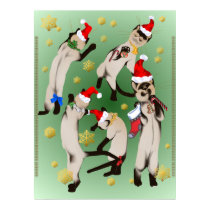 Bouncing Bunch Of Christmas Kitties Print