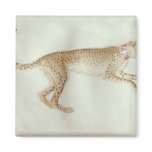 Bounding cheetah with a red collar refrigerator magnet