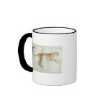 Bounding cheetah with a red collar mugs