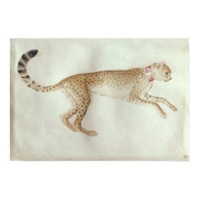 Bounding cheetah with a red collar poster by bridgemanart