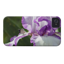 Bountiful Butterfly Iris Photography Iphone 4 Case-mate Cases