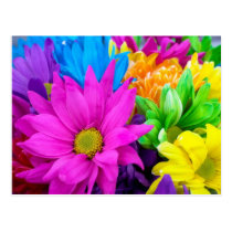 Bountiful Flowers Postcards