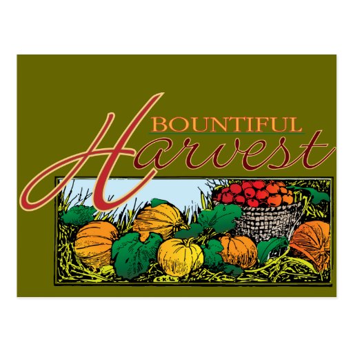 Bountiful Harvest Post Card