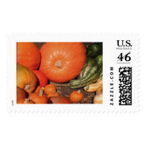  Bountiful Harvest Stamp