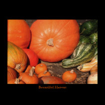  Bountiful Harvest posters