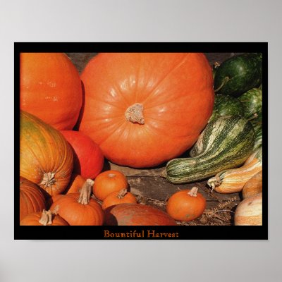  Bountiful Harvest Poster by bhbphotos