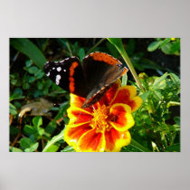 Bountiful spring! posters