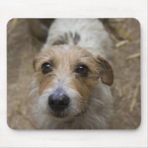 Bounty mousepads by KasRybka Bounty mousepads