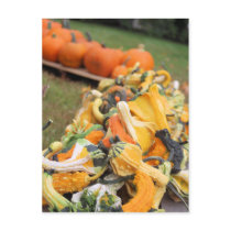 Bounty of Fall Postcards