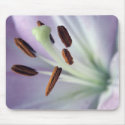 Bouquet 1 mousepads
