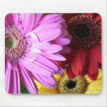Bouquet 7