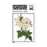 Bouquet of Beautiful White Roses Postage