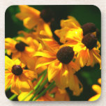 Bouquet of Black Eyed Susans Drink Coasters