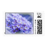 Bouquet of Blues Postage