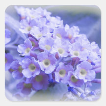 Bouquet of Blues Stickers
