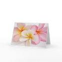 bouquet of frangipanis cards by kelliem bouquet of frangipanis cards