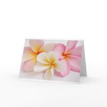 bouquet of frangipanis cards