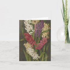 Bouquet of Hyacinths Card