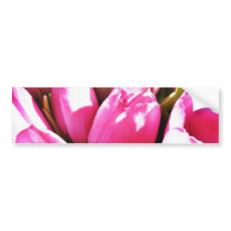 Bouquet Of Pink Tulips bumper stickers