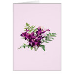 Bouquet of Purple Orchids With Ferns Cards