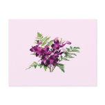 Bouquet of Purple Orchids With Ferns Post Card