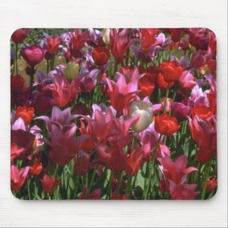 Bouquet Of Red And Pink mousepad