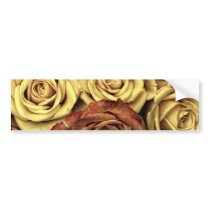 Bouquet of Red and White Roses in Full Bloom Bumper Sticker