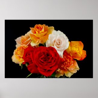 Bouquet of Roses on Black Posters