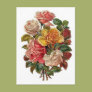 Bouquet of Roses Post Cards Bouquet of Roses Post Cards
