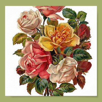 Bouquet of Roses Poster Zazzle_print Bouquet of Roses Poster Zazzle_print