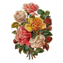 Bouquet of Roses T Shirt
