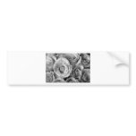 Bouquet of Roses with Water Drops in Black and Whi bumper stickers