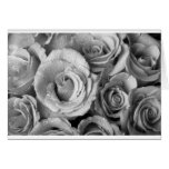 Bouquet of Roses with Water Drops in Black and Whi cards