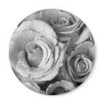 Bouquet of Roses with Water Drops in Black and Whi magnets